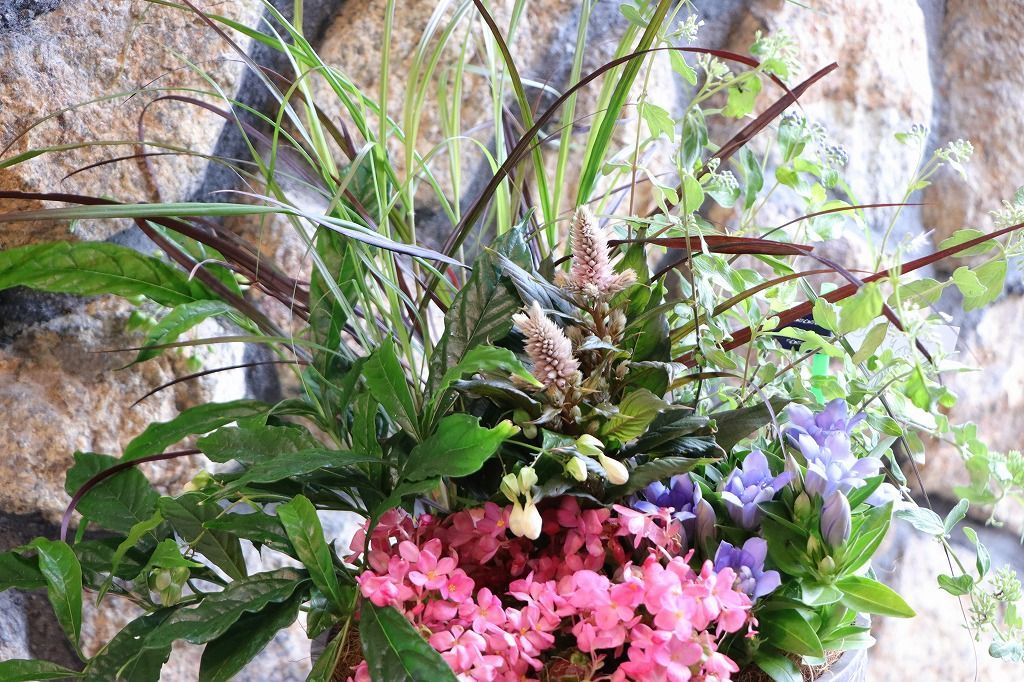 当店オリジナル