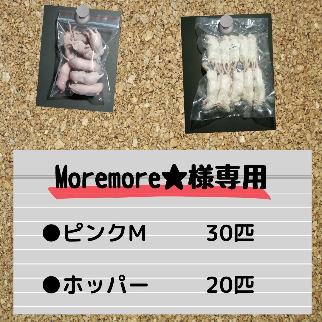 Moremore☆様専用】ピンクM30匹ホッパー20匹 - メルカリ