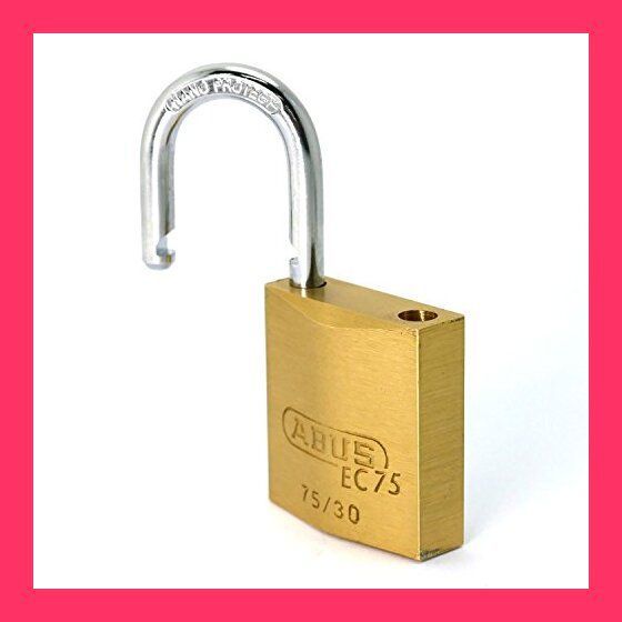 日本ロックサービス(Nihon Lock Service)ABUS 真鍮南京錠 EC75/30 KD