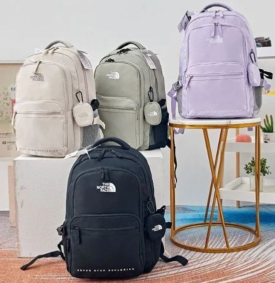 THE NORTH FACE DUAL POCKET BACKPACK
