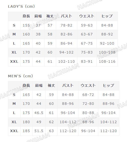 変装