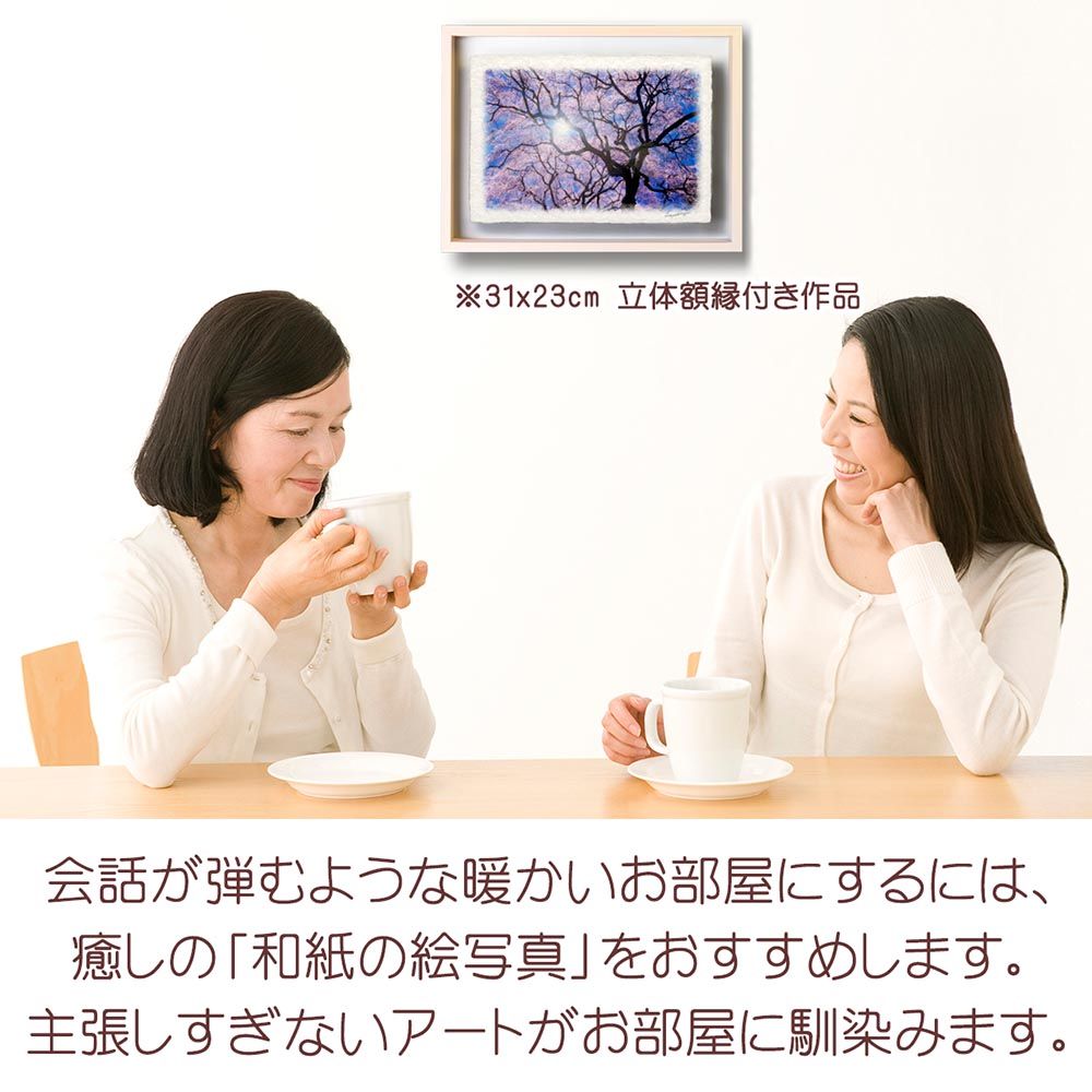 和紙の絵写真 「太陽と一面の桜と見上げる黒い幹」 立体額縁付き