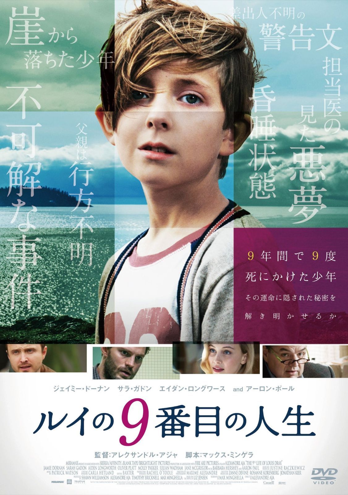 ルイの9番目の人生 DVD
