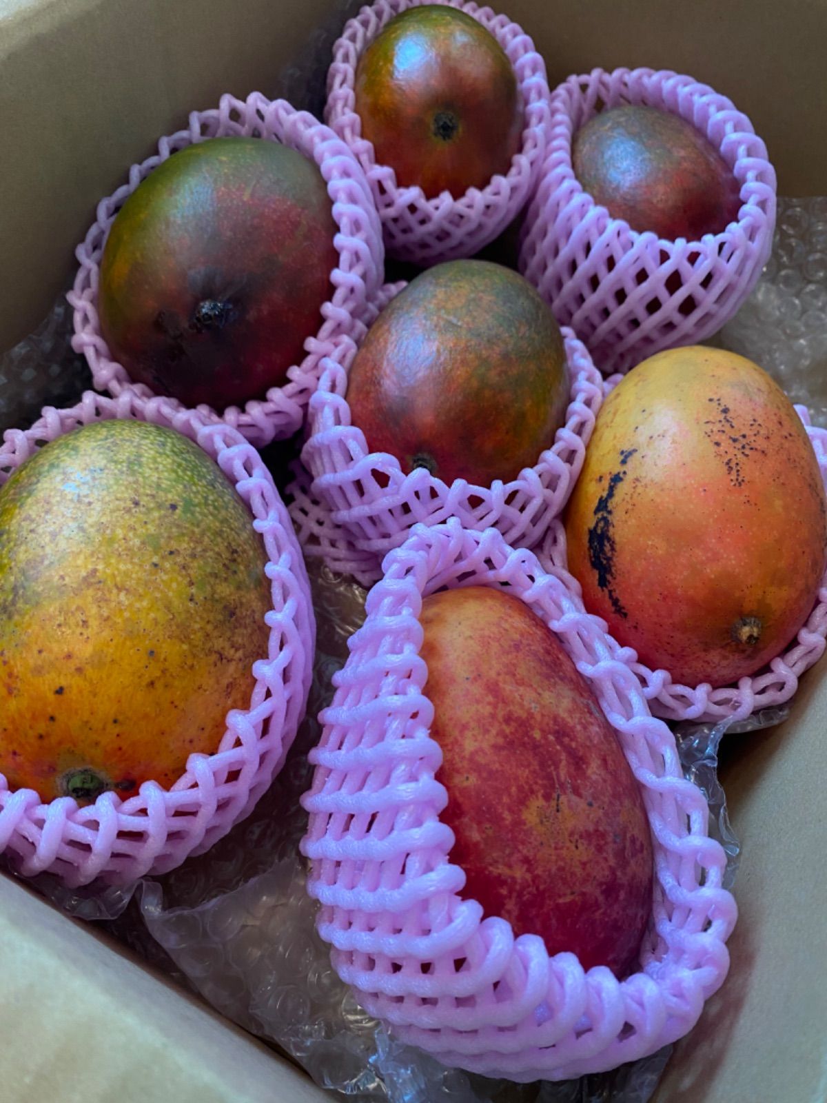 訳あり 特大加工用 黒点】宮崎完熟マンゴー 15玉 10k ※理解ある方