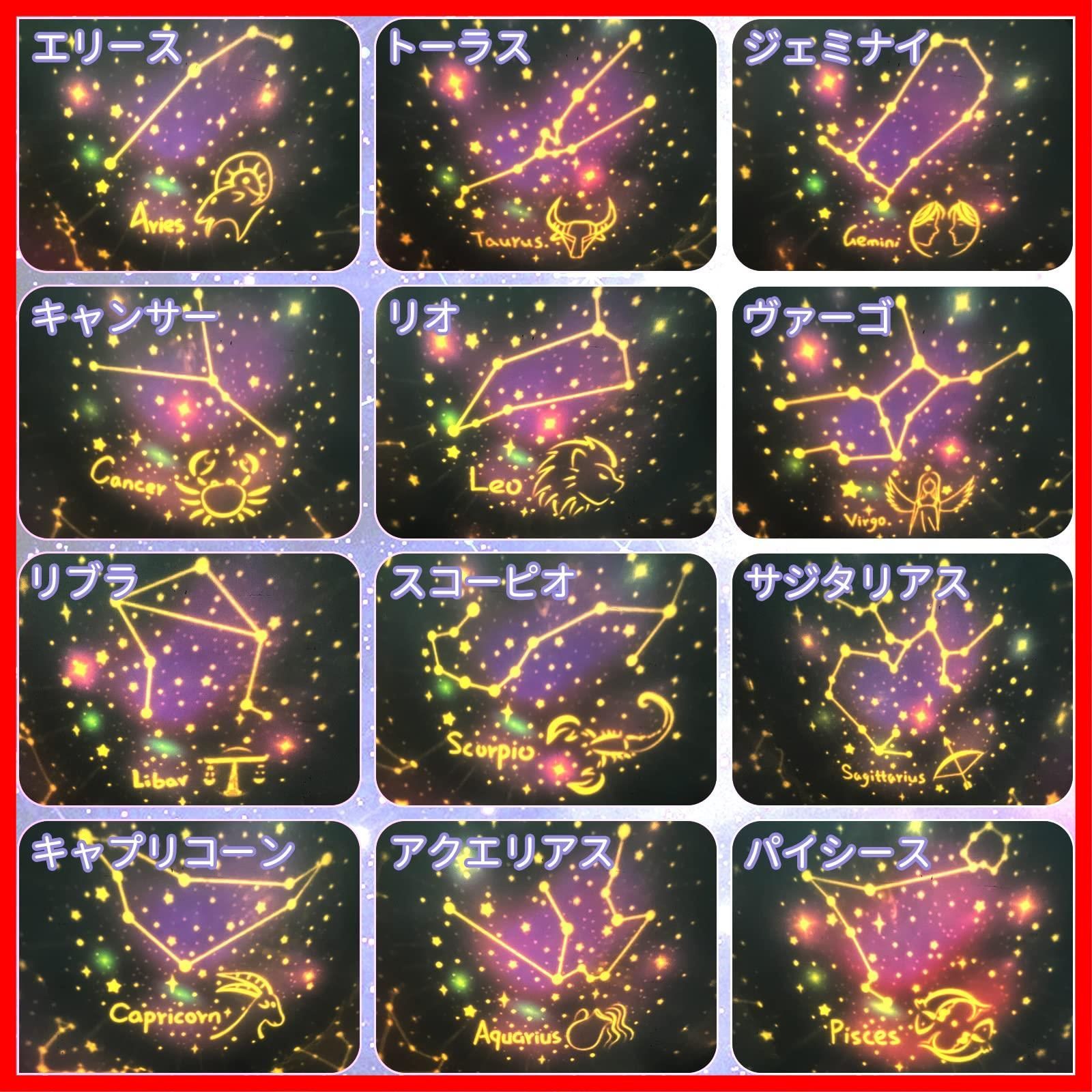 鹿
