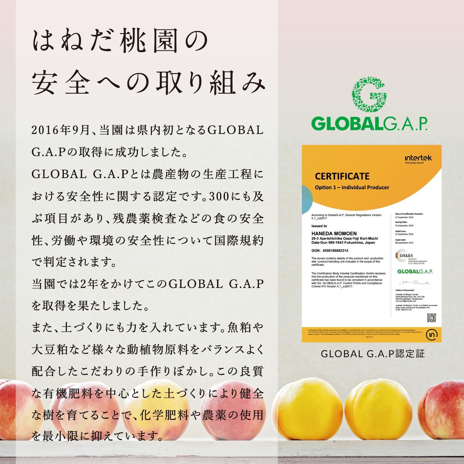 福島の桃　もものシーザードレッシング　３本セット　-桃×乳酸菌の力--4