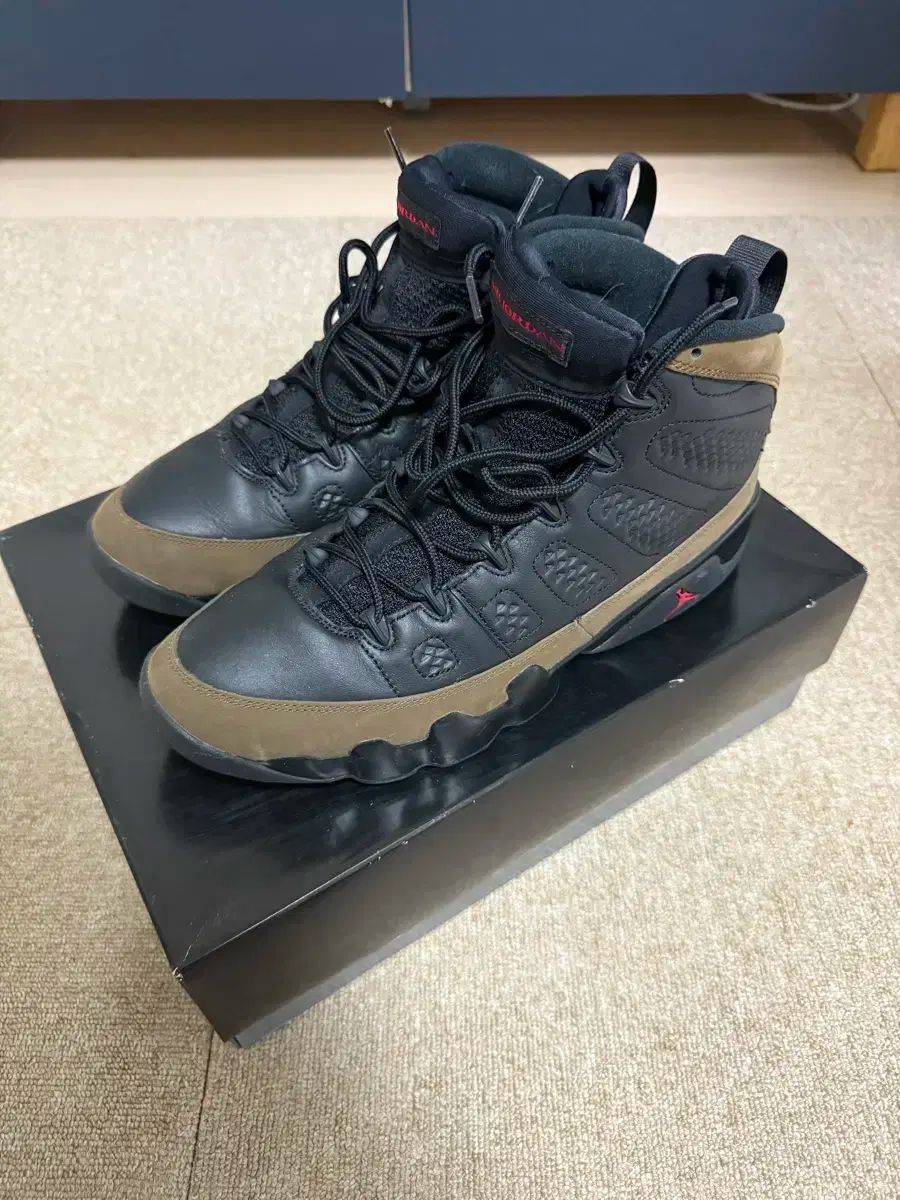 NIKE ナイキ ジョーダン 9 レトロ オリーブ 300