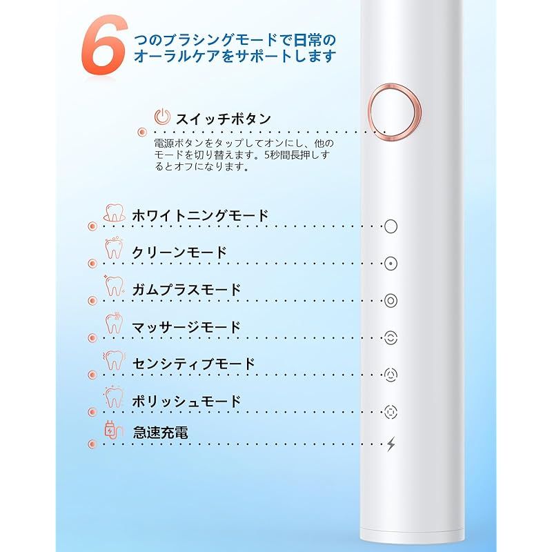 電動歯ブラシ 電動ハブラシ 音波式ブラシ 電動歯ブラシ横振り IPX7防水 6モード音波歯ブラシ 替えブラシ8本付 Type-C充電式 50日連続使用 2分間オートタイマー 収納ケース付き 低騒音 携帯便利 旅行 1
