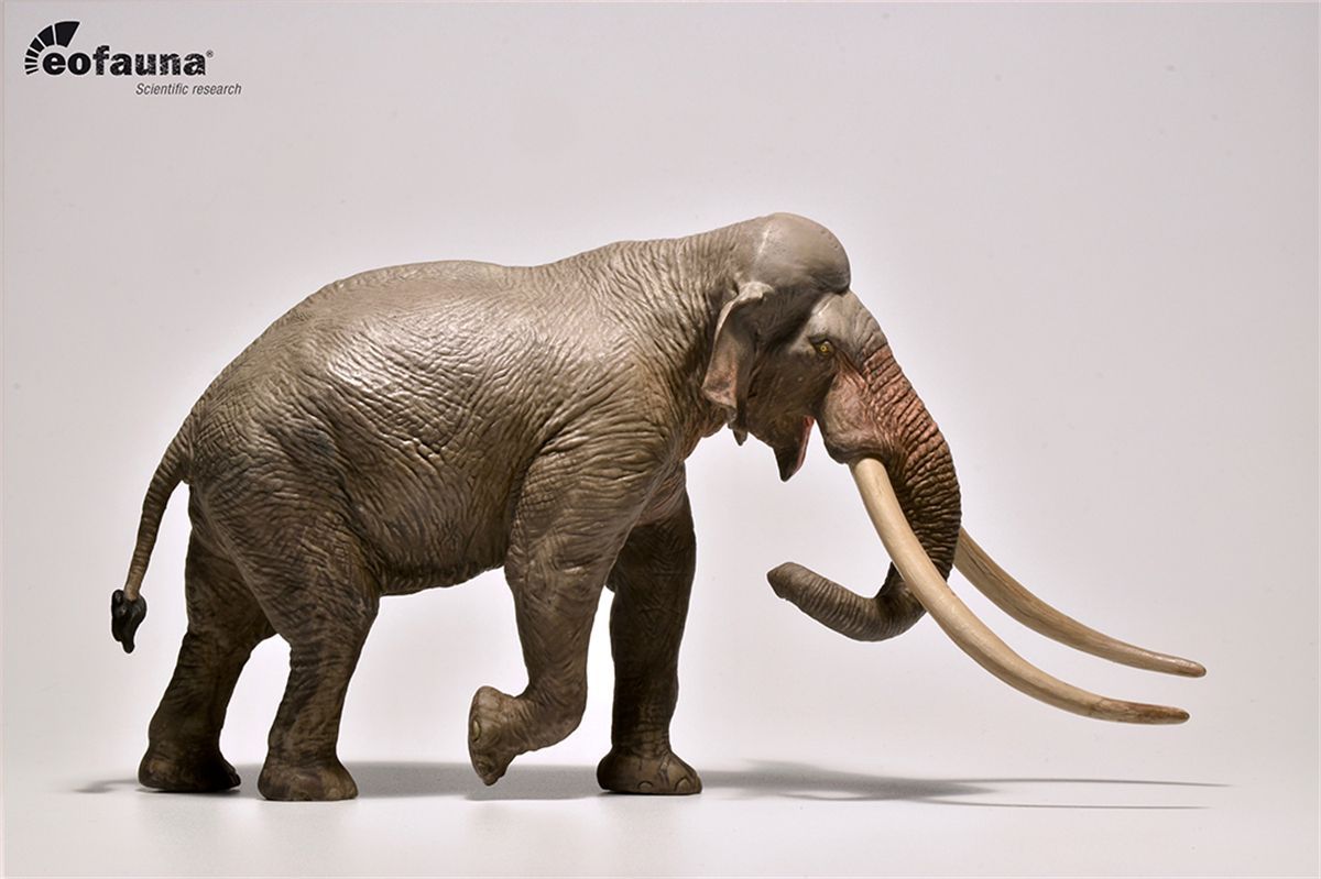 Eofauna 1/35 サイズ デイノテリウム 恐獣 象 大きい 絶滅 動物 Amazon | Eofauna 1/35 サイズ デイノテリウム 恐獣 象 大きい