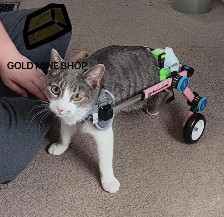 犬用車いす 快適な小型猫用車椅子 麻痺した後ろ足 調節 な犬用歩行補助カート 高齢の障害のあるペット犬用ダックスフント回復装置