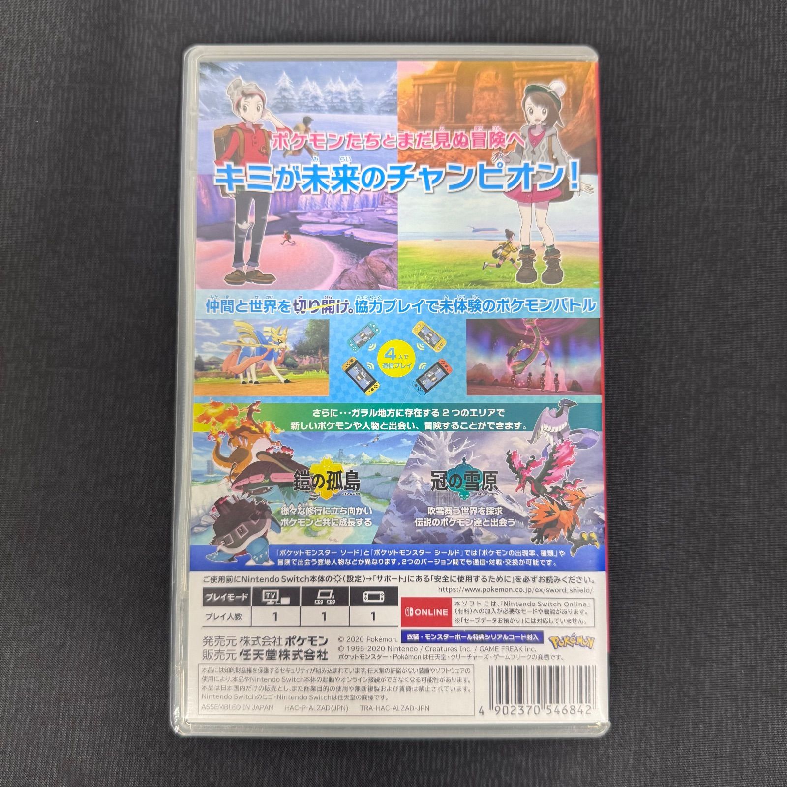 Nintendo Switch ポケットモンスター ソード エキスパンションパス