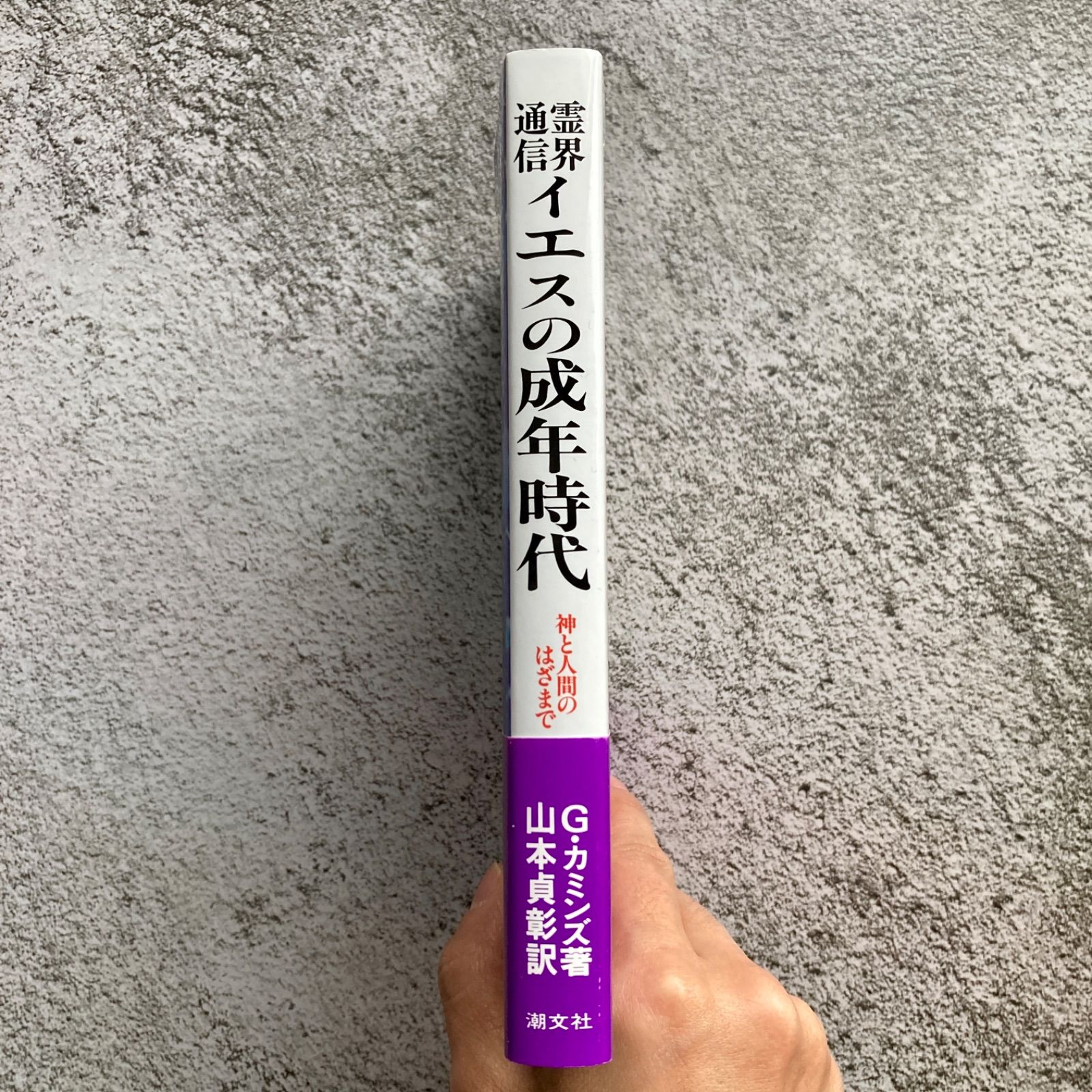 霊界通信イエスの成年時代 : 神と人間のはざまで