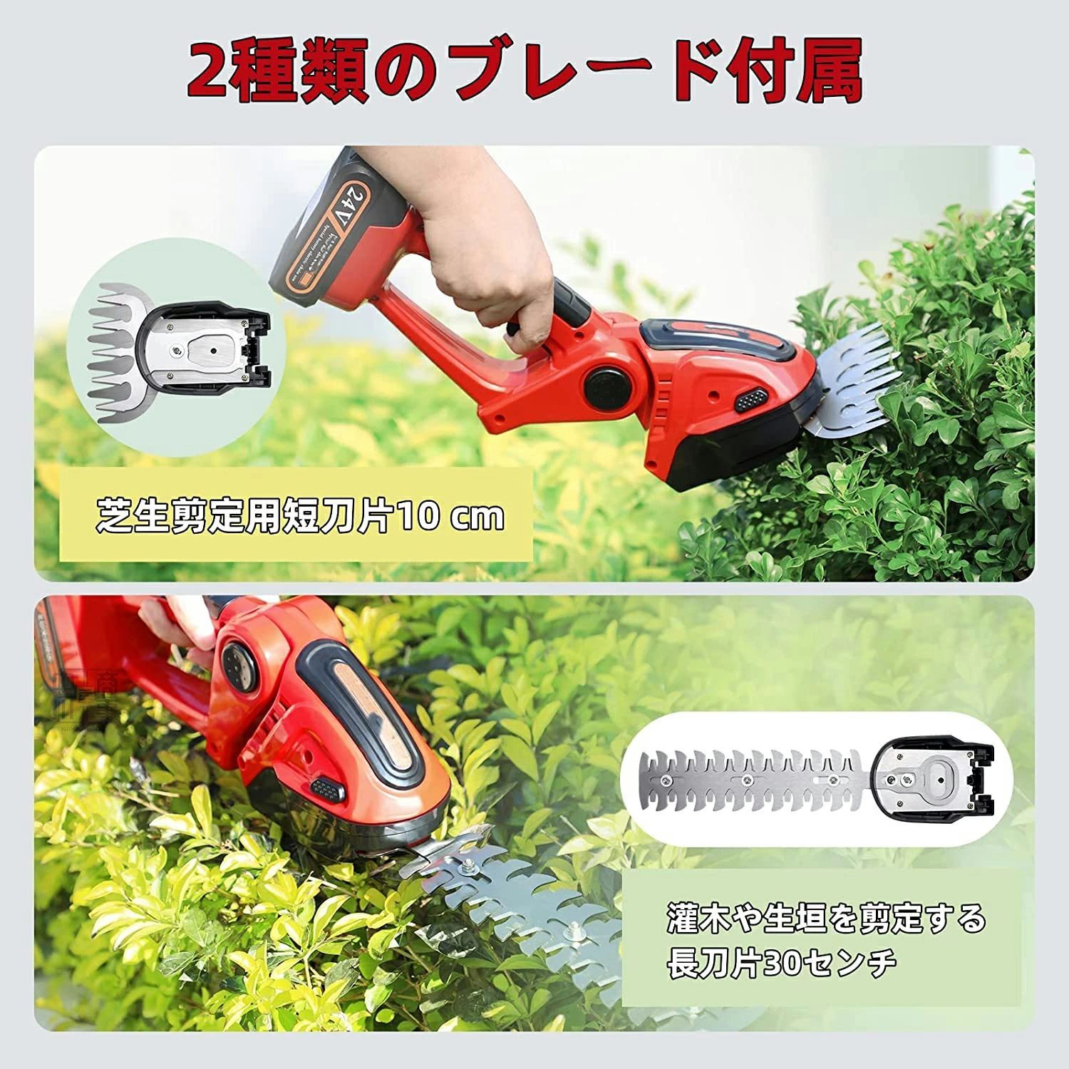 芝用