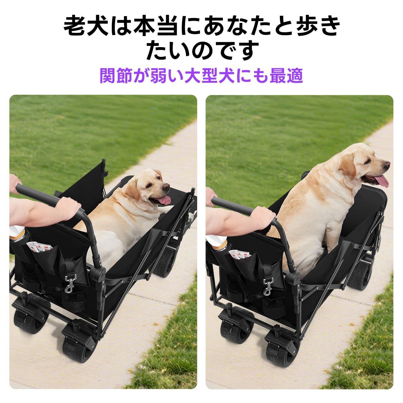 ワイドタイヤ搭載 Cavoyo