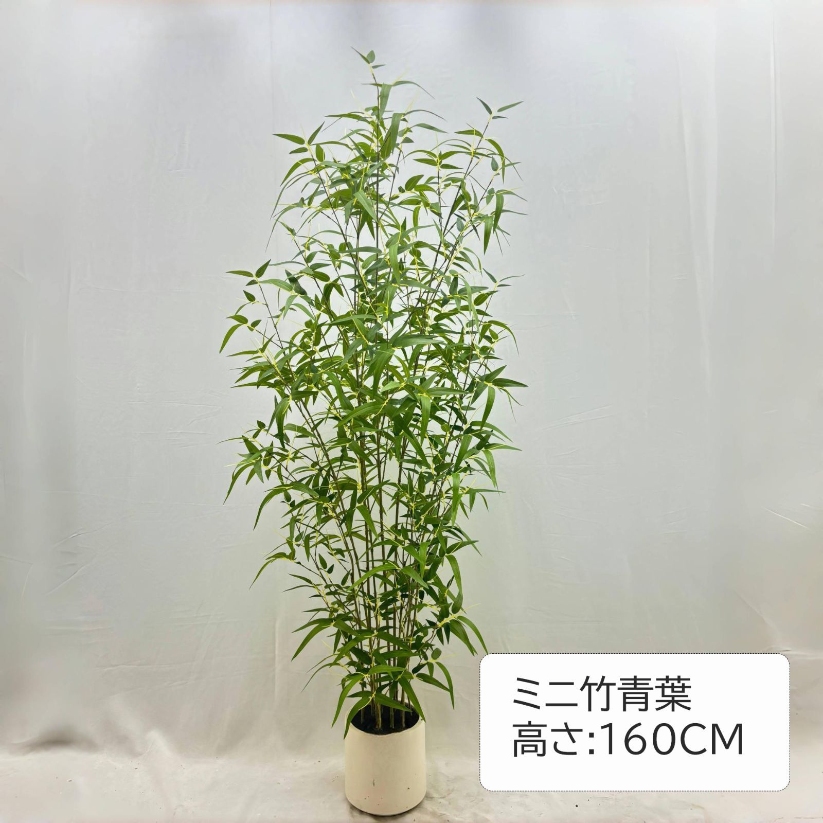 庭園装飾