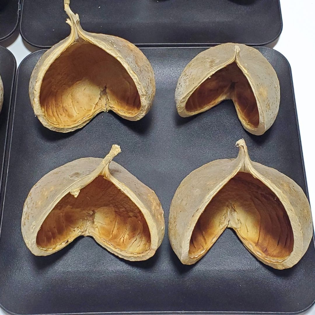 ブッダナッツ 割引有 16個セット ナチュラルベージュ ハンドメイド花材 花材 クリスマス ウエルカムスペース ウェディング 贈り物 プレゼント 飾り物 インテリア花材