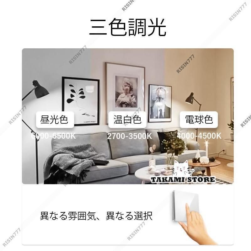 天井照明器具