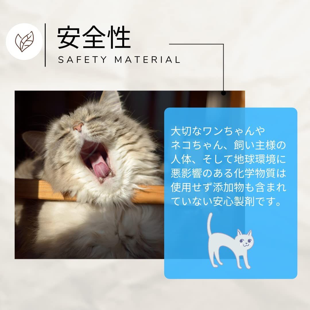 デンタル 無味無臭
