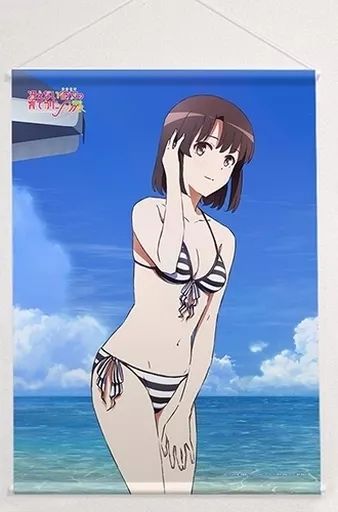 中古】タペストリー 加藤恵(水着) B2タペストリー 「冴えない彼女の