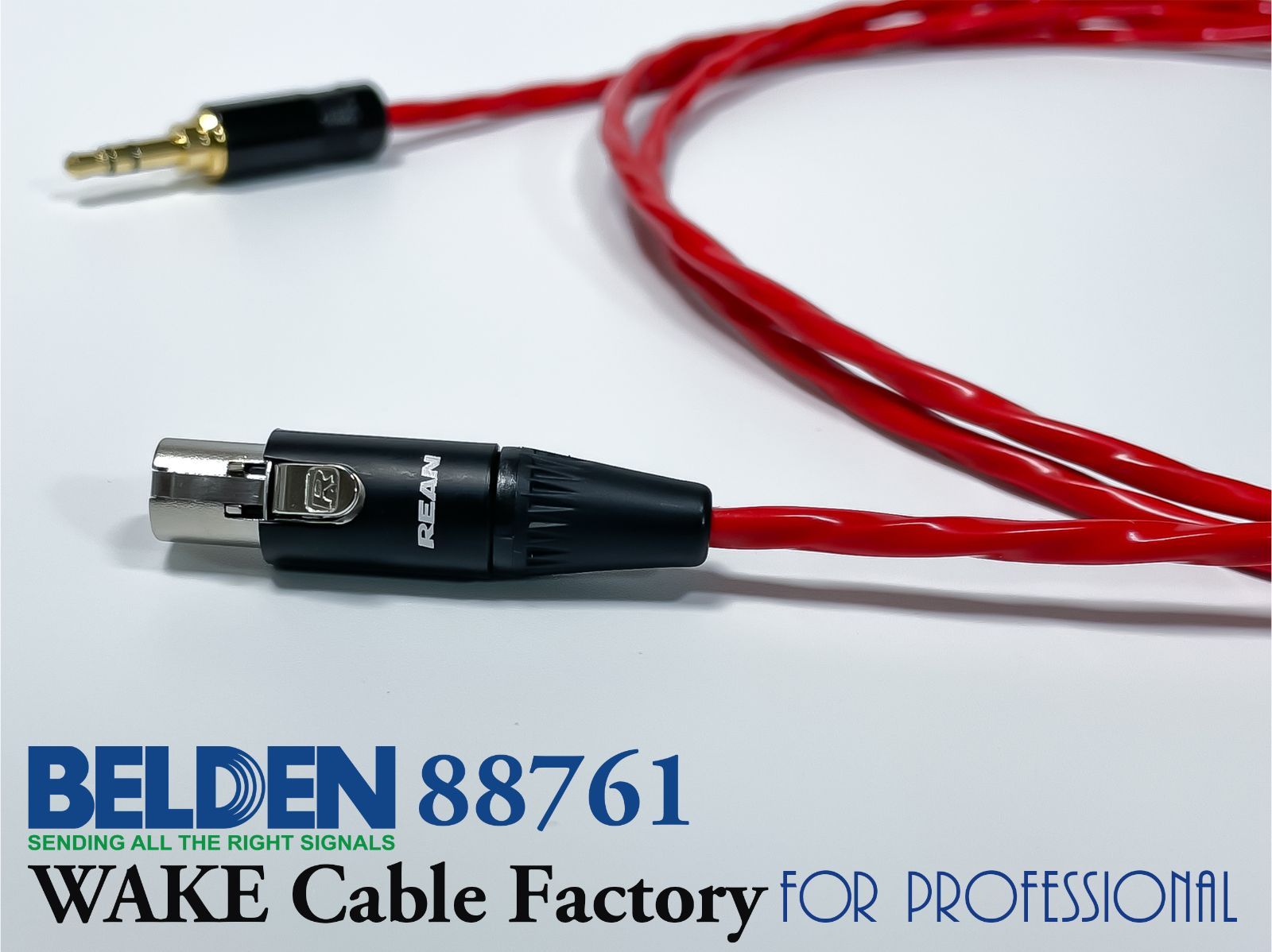 プレミアム仕様！BELDEN1801B☆AES⁄EBUデジタルケーブル2.5m