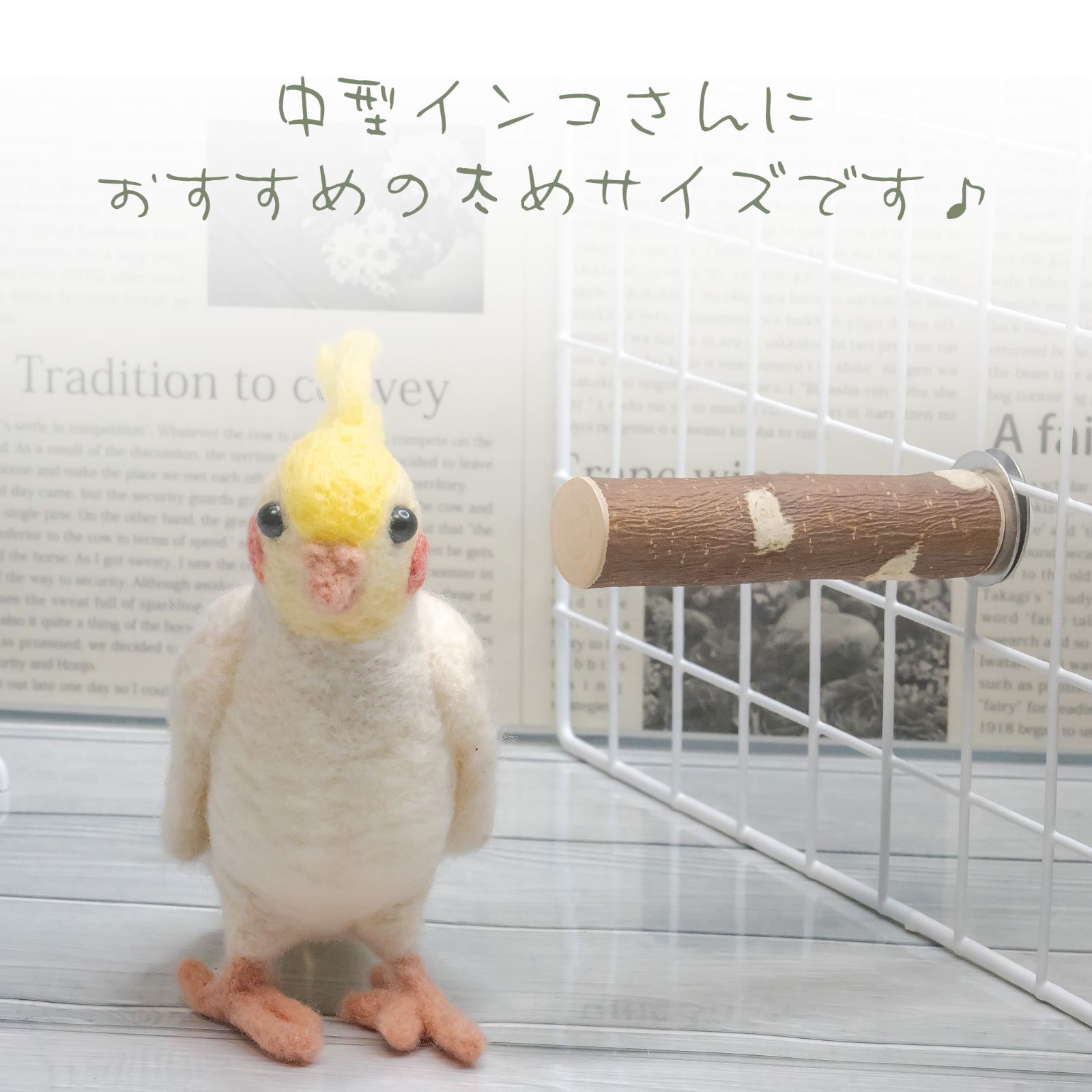 インコちゃんの✩.*˚りんごの止まり木 ショートパーチ 中型さん向け