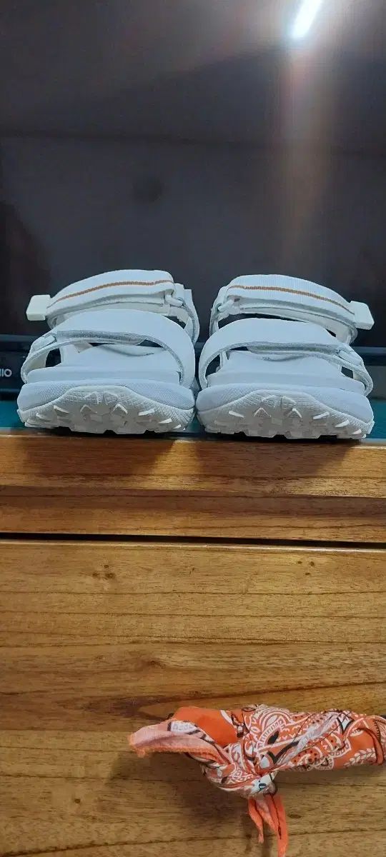 ジェオックス レディース