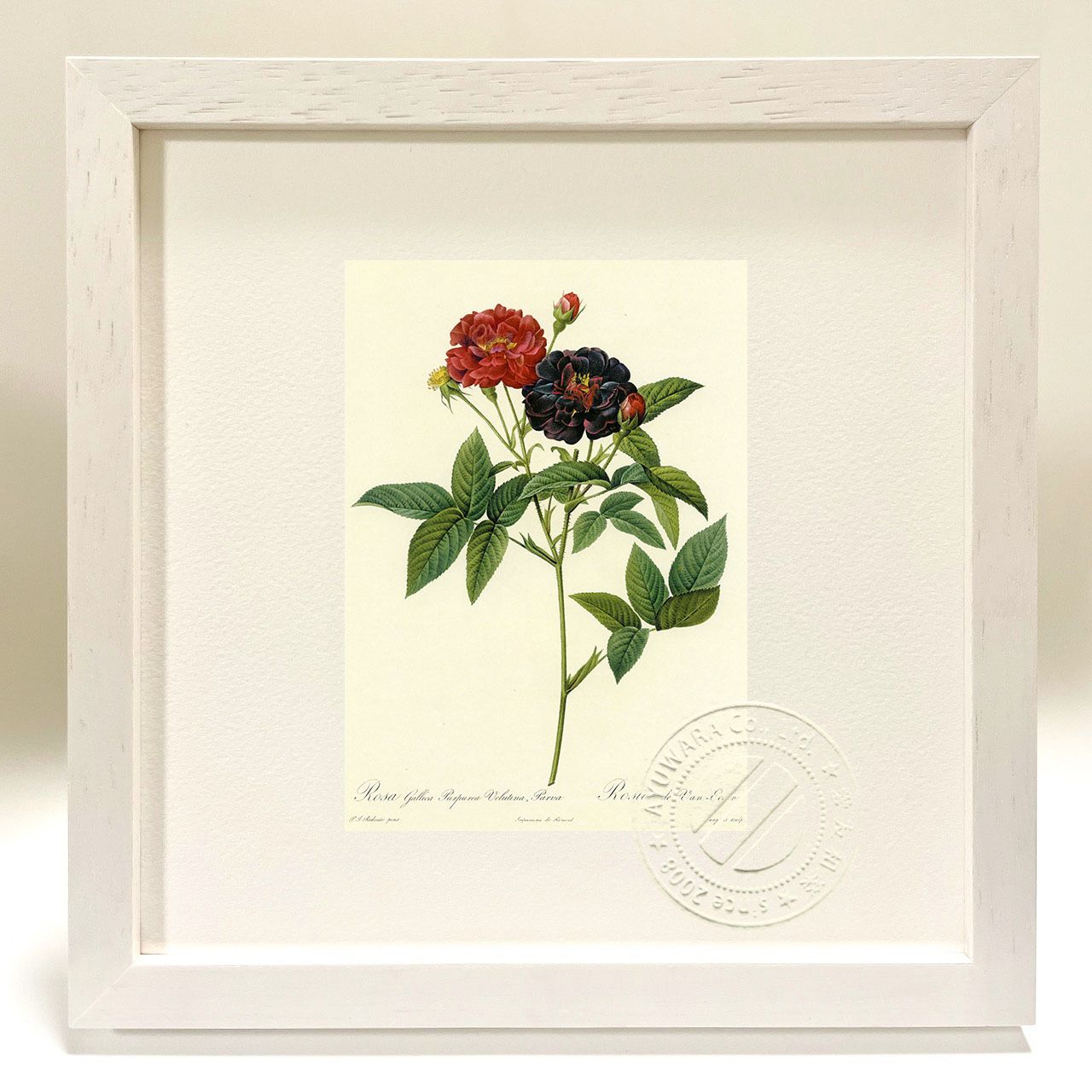 イタリア製】ボタニカルアート 八角形 額縁 額装 薔薇 ロサ・ガリカ 花