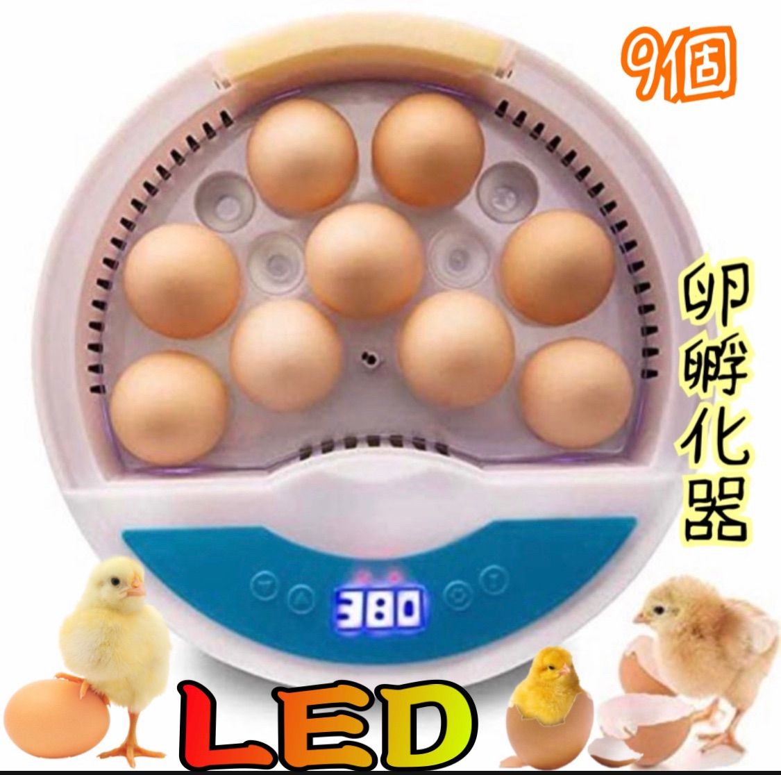 孵卵器 インキュベーター 検卵ライト内蔵鳥類専用ふ卵器 孵化器 9個入