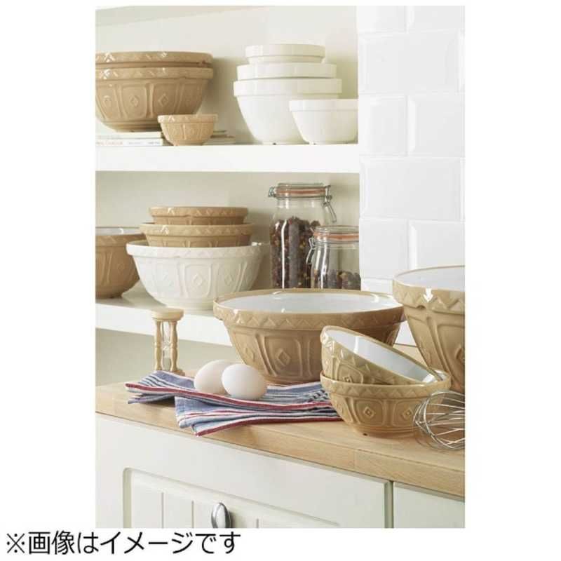 送料無料 【新品 未使用 未開梱】 RAYWARE ミキシングボウル