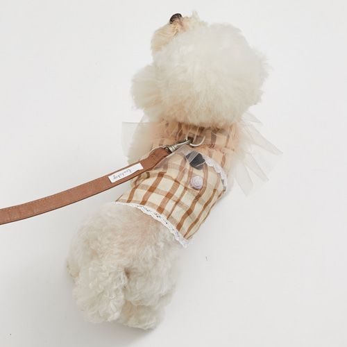 louisdog ルイドッグ