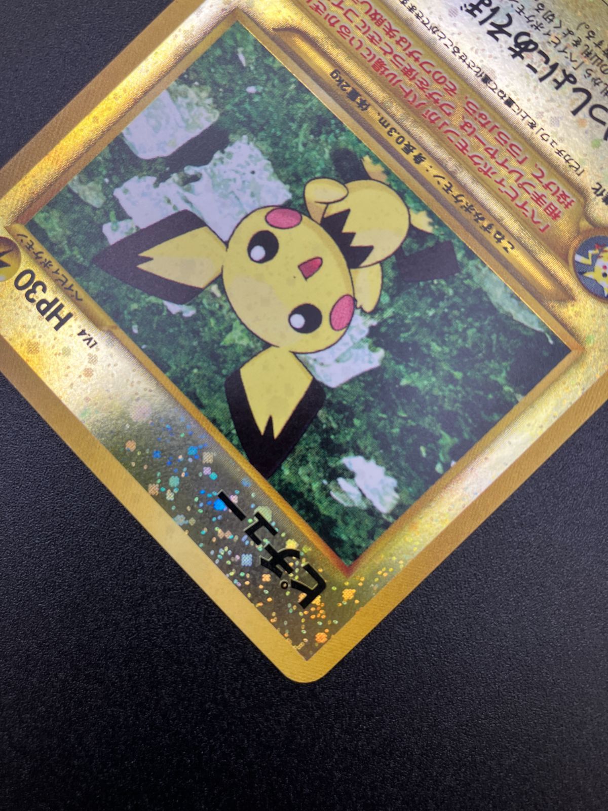 ポケットモンスター ピチュー Lv.4 HP30 172 ポケモンカード 旧裏面 ピチュー LV.4 [旧裏面] No.172 プレミアムファイル2 買取