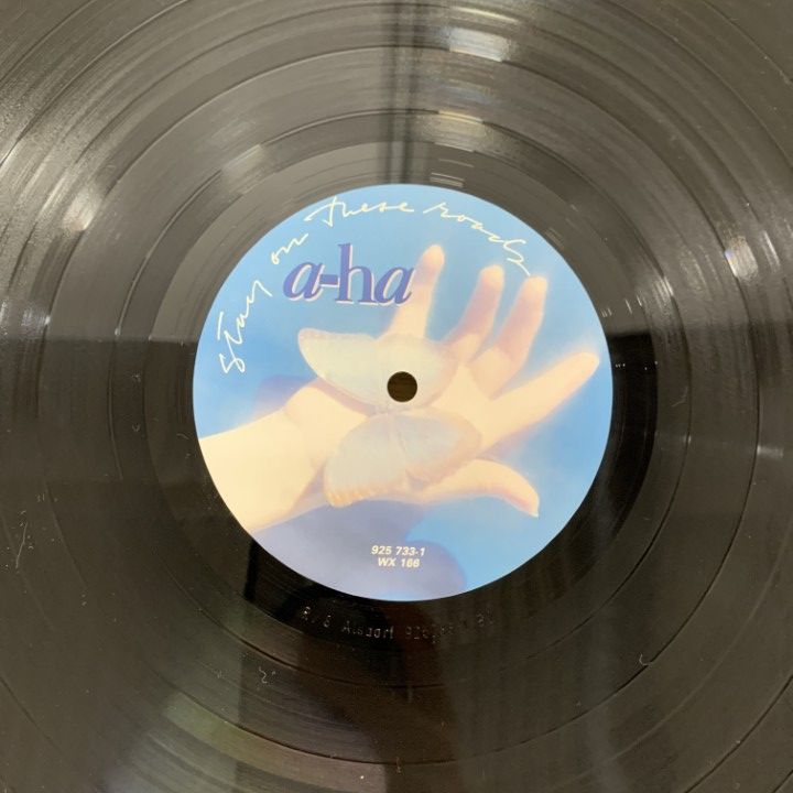 Elastica LPレコード Elastica LPレコード