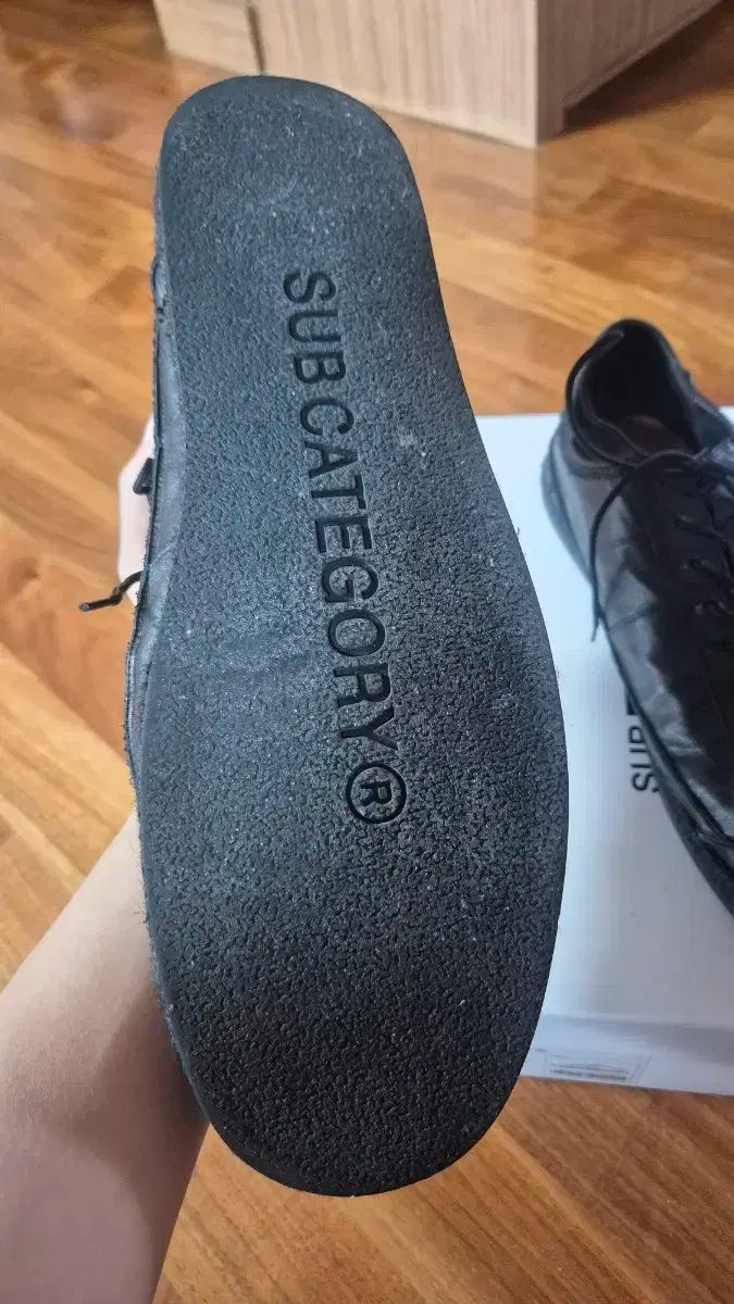 サブカテゴリ SUB_F 161 290