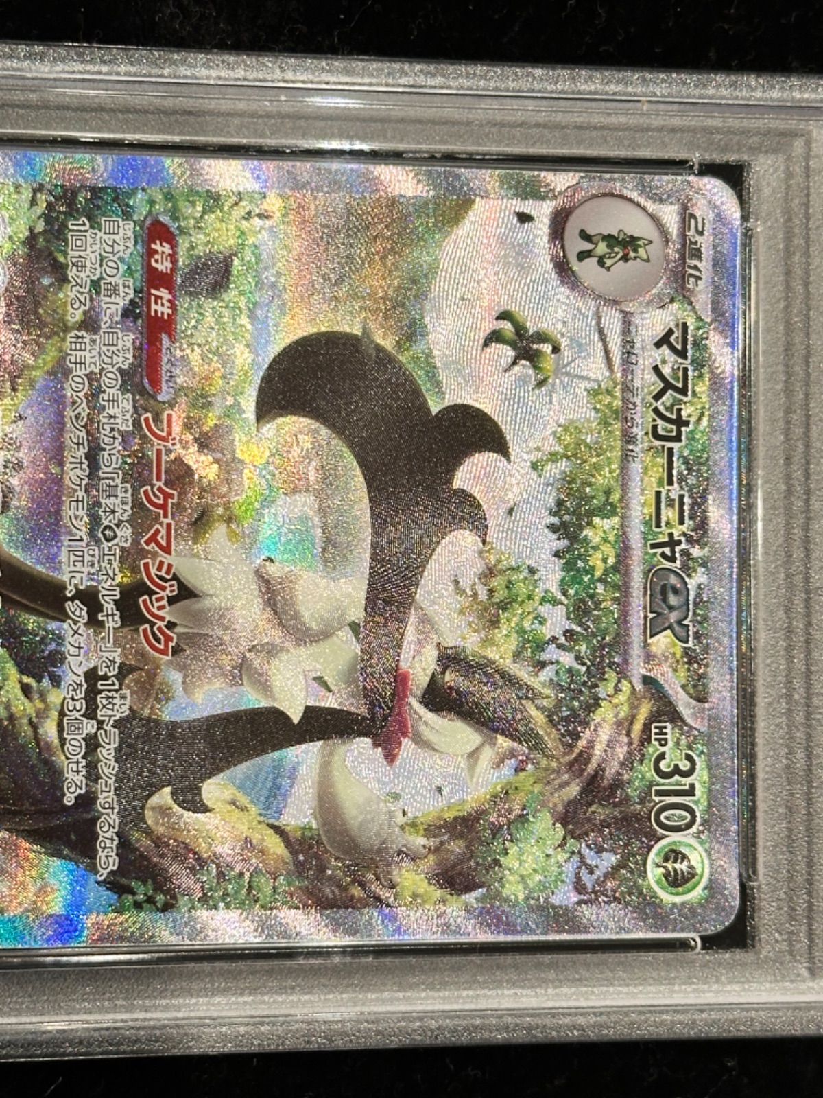 PSA10〕マスカーニャex【SAR】{096/073} [その他] - メルカリ