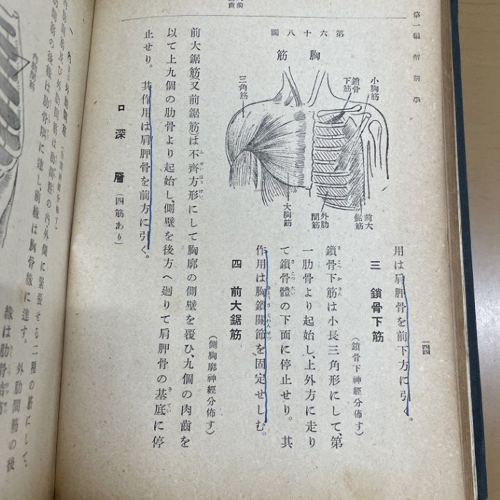 鍼灸教科書 全18冊 ○01)【同梱不可】日本鍼灸学教科書 前編/山本新梧/関西鍼灸学院