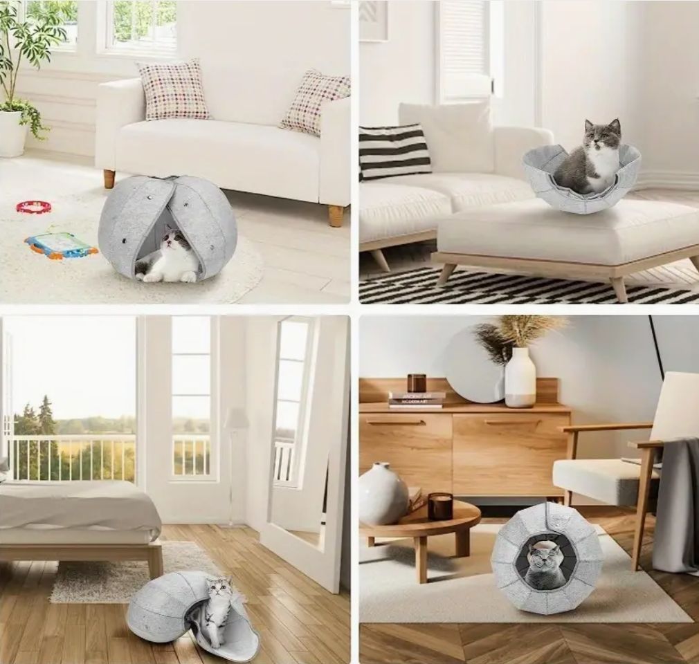 猫用