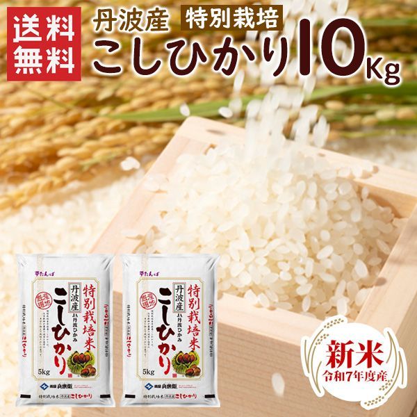 予約お届けは11月1日以降 新米 令和7年 特別栽培 丹波産 兵庫県 コシヒカリ10kg 5kg×2袋 令和7年産 特別栽培 こしひかり コシヒカリ 精米 お米 米 丹波産 10kg 北海道 沖縄