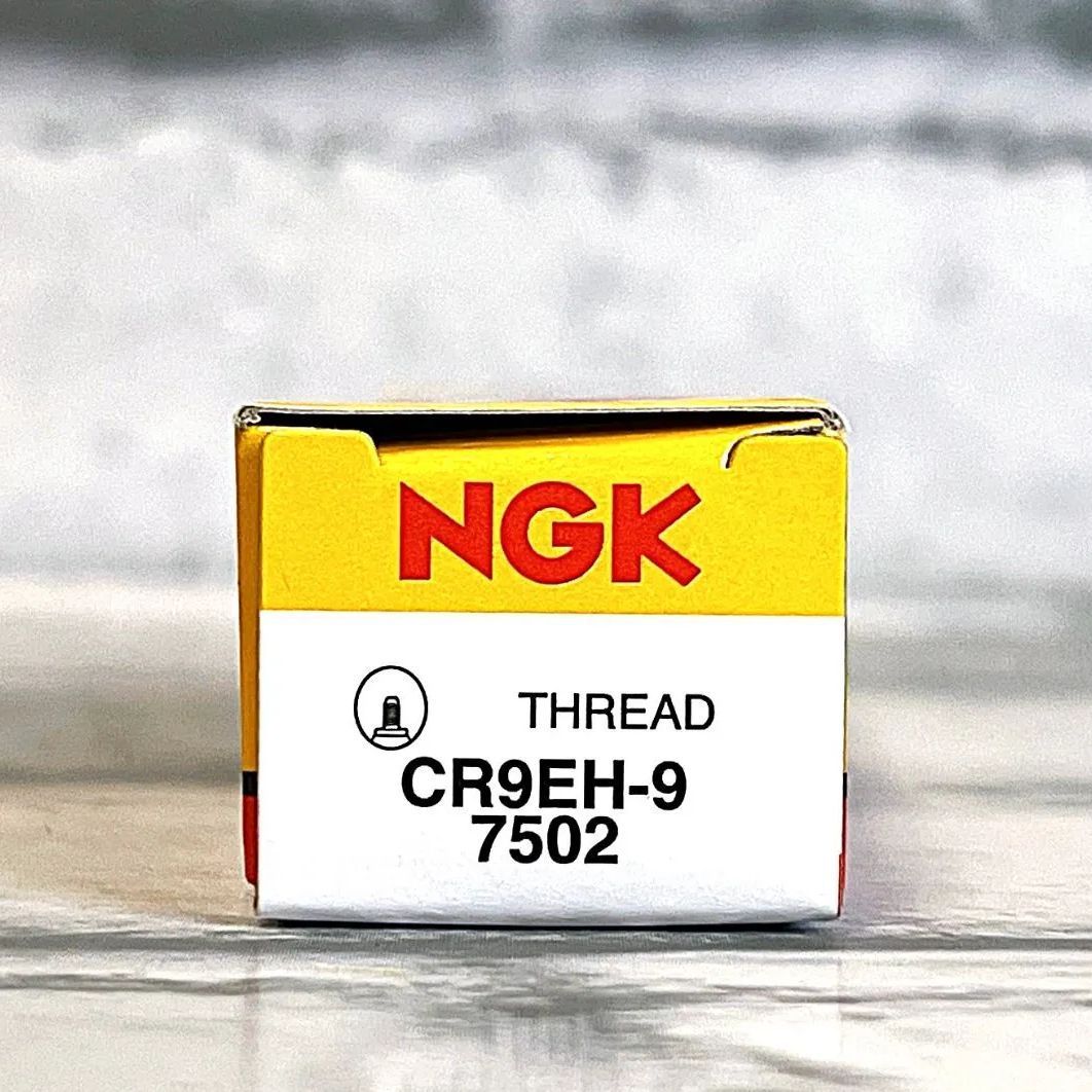 CR9EH-9