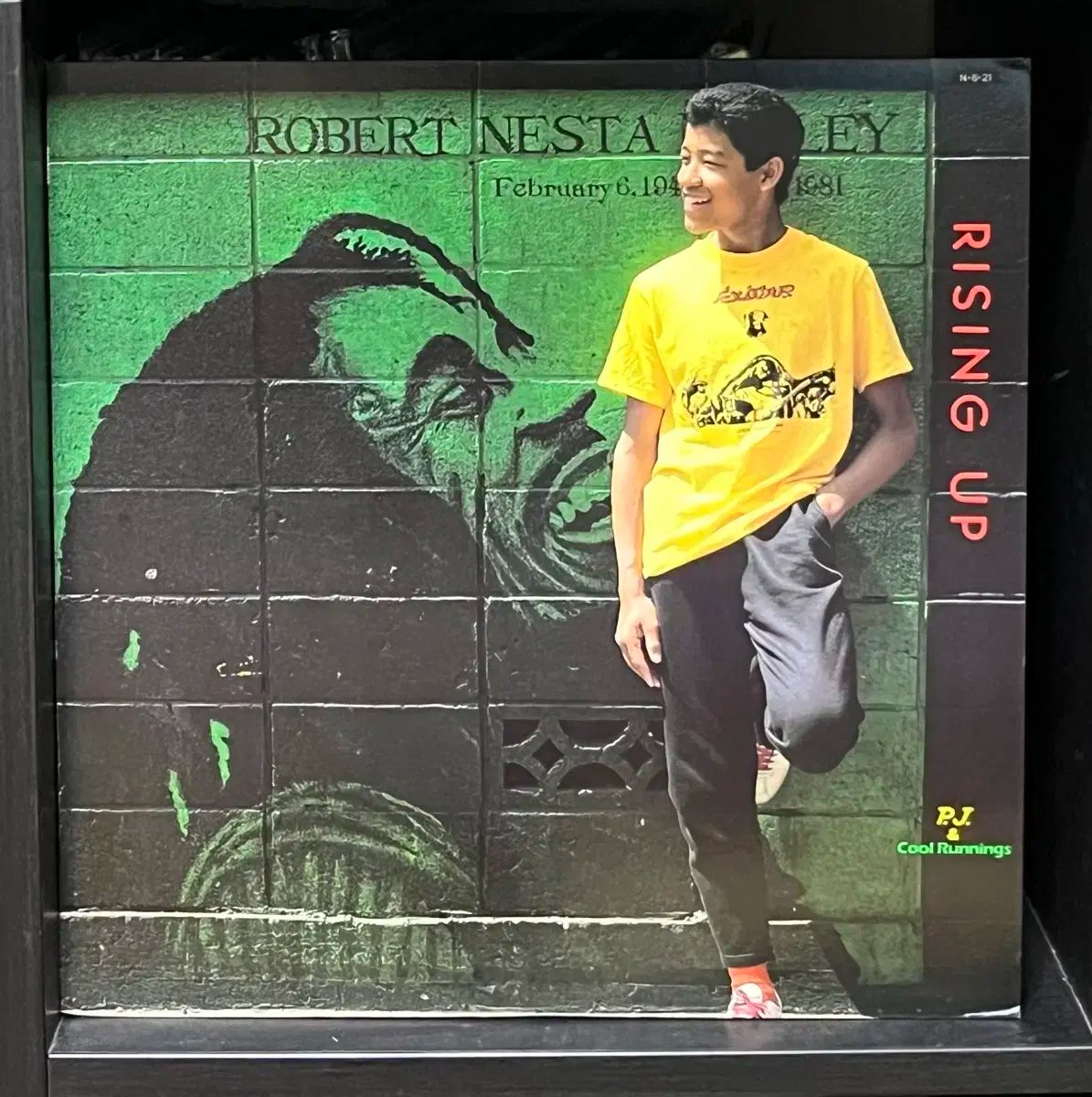 タイフーンクラブ