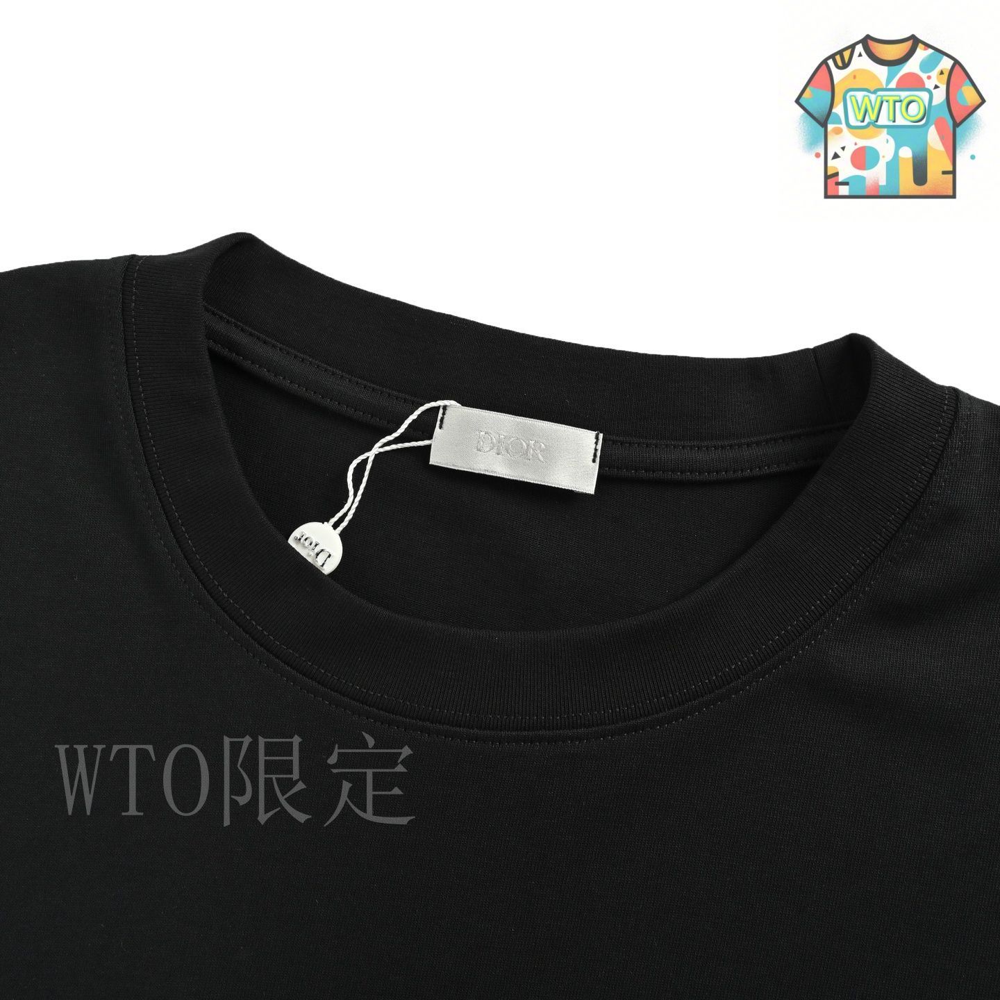 今日WTO】Dior 25ss シグネチャー 1947 プリント T シャツ-TH95
