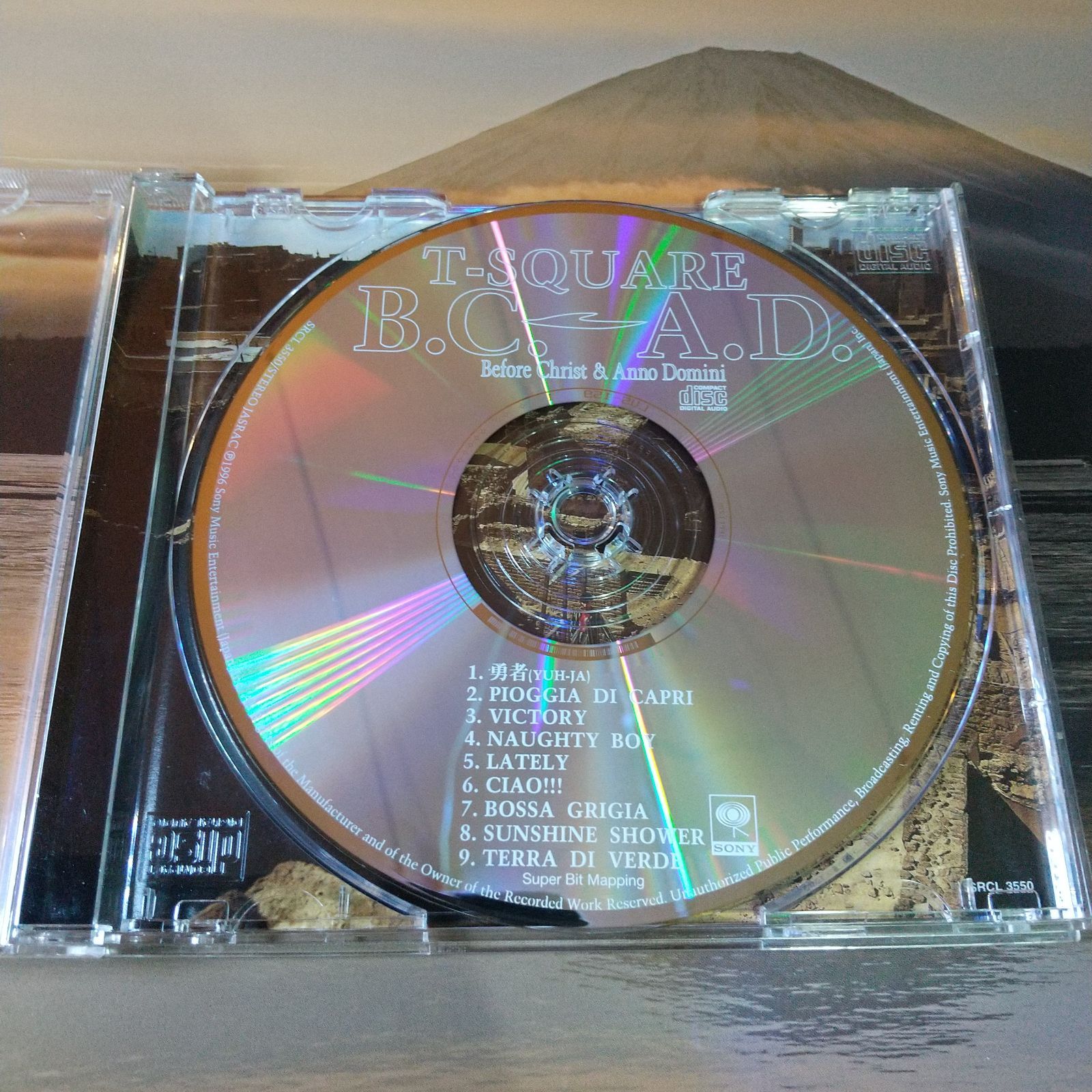T-スクェア□ B.C.A.D. Before Christ&Anno Domini - メルカリ