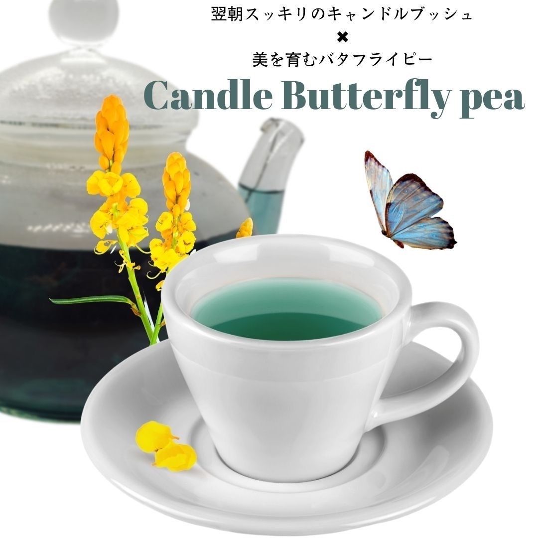 メルカリshops お試し用 緑青のお茶 10包 翌朝スッキリ キャンドルブッシュ バタフライピー