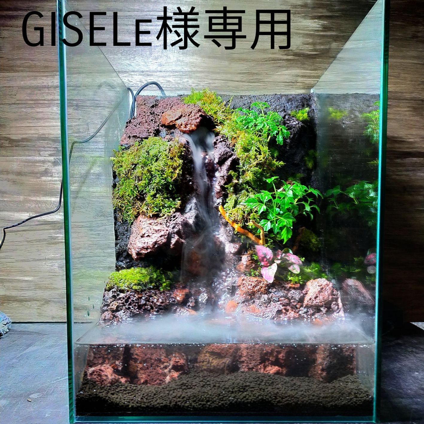 滝と霧の流れるアクアテラリウム　ありん Making a Aquaterrarium with fall and mist 〜滝と霧のアクア