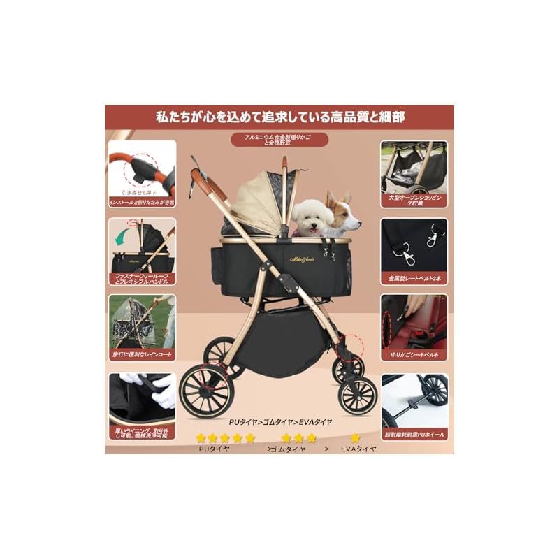 犬