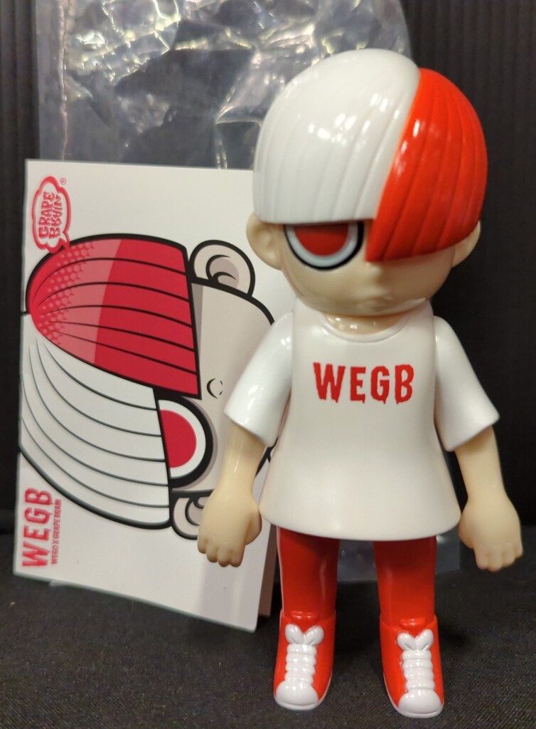 GRAPE BRAIN 天才二口少年博士 WEGO のりくん WEGB - メルカリ