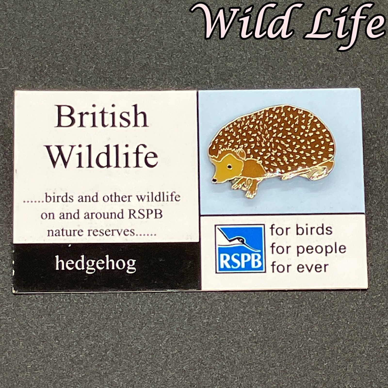 ハリネズミ　ピンバッチ 英国 ブリティシュ ワイルドライフ 『 ハリネズミ （ヘッジホッグ