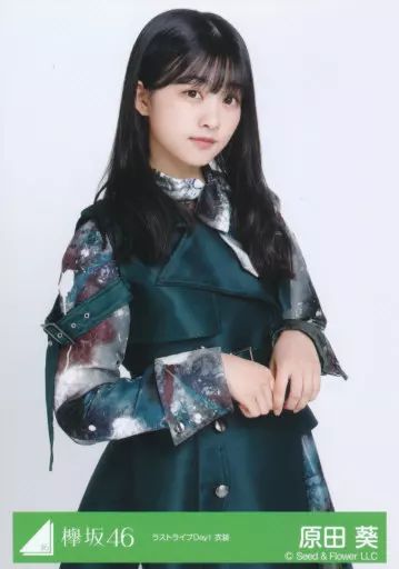 中古】生写真(乃木坂46) 原田葵/上半身/櫻坂46ランダム生写真 ＜ラスト