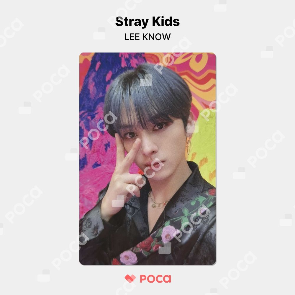 straykids リノ スキズ トレカ MAXIDENT Lotte Duty Free / I