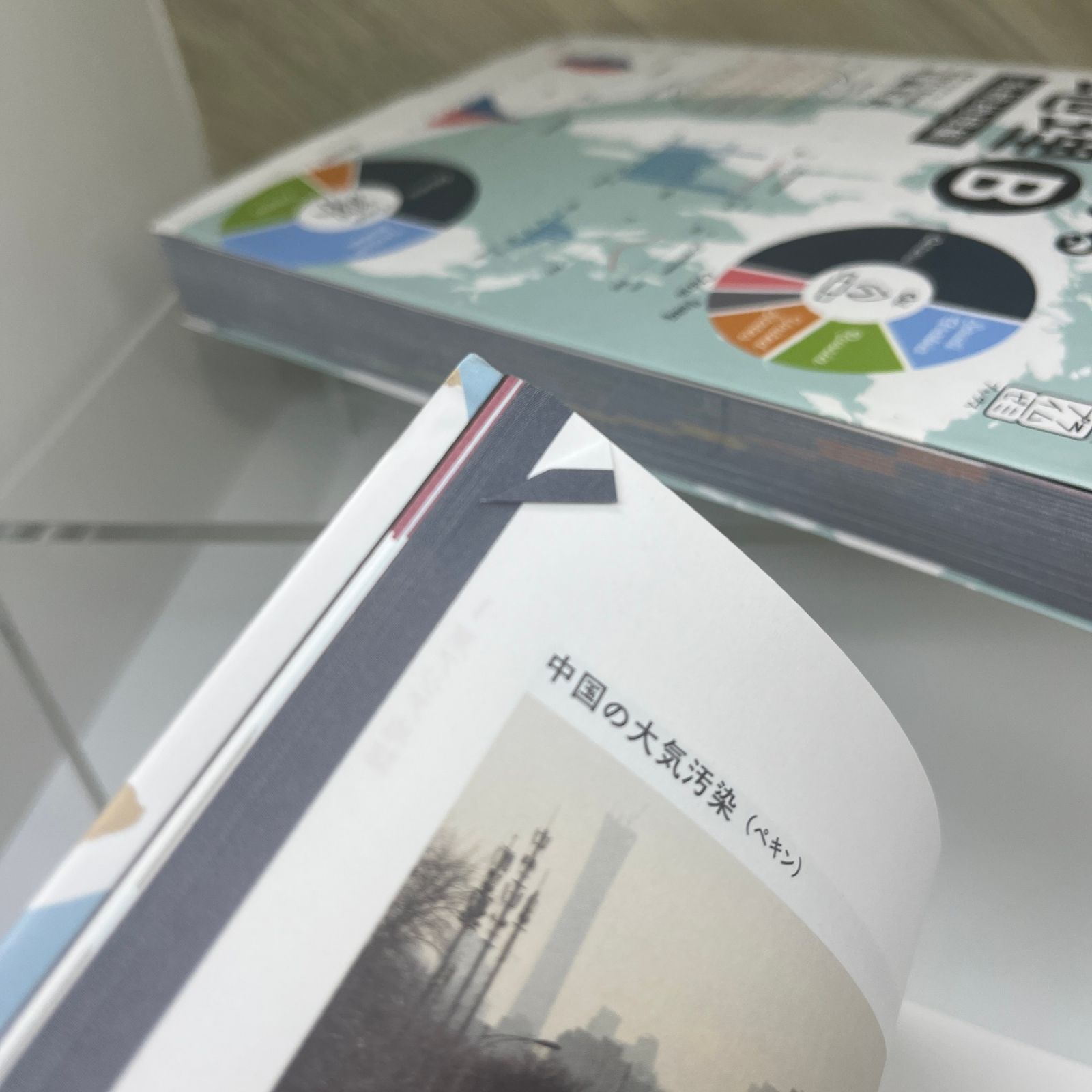 し*お様 村瀬のゼロからわかる地理B 地誌編&系統地理編 村瀬のゼロからわかる地理B 系統地理編 (大学受験プライムゼミ