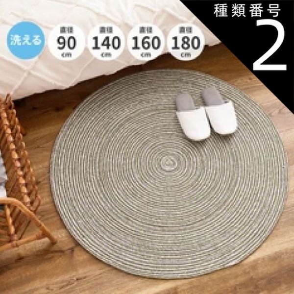 カテーテル時代に知っておきたい 新しい心血行動態入門: いち